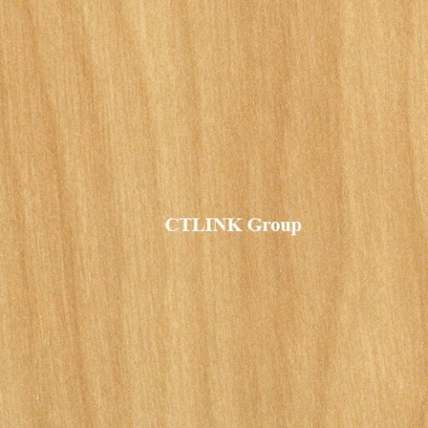 Sàn nâng kỹ thuật khuôn thép lõi xi măng mặt phủ HPL chống tĩnh điện Anti Static